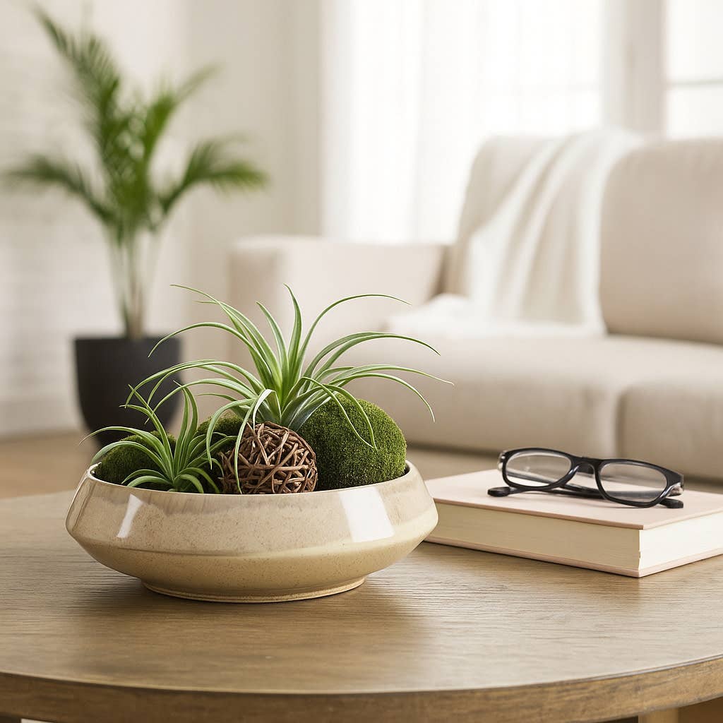 Decorative Bowl - Brown Ceramic Modern Round Glazed, 15 in.