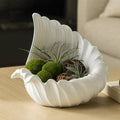 Decorative Bowl - White Ceramic Shell Inspired, 16 in.
