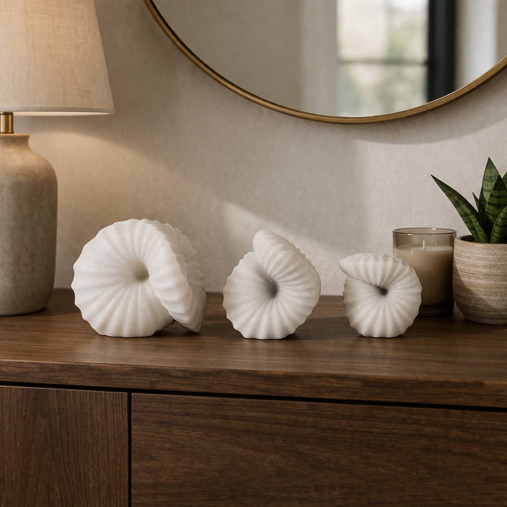 Sculptures Set of 3 - White Resin Decorative Shell, 4/5/6 in