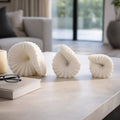 Sculptures Set of 3 - White Resin Decorative Shell, 4/5/6 in